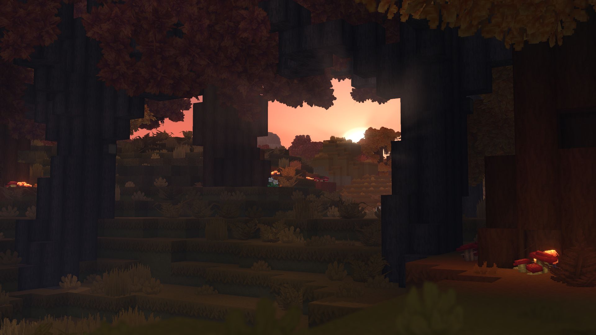autumn_forest_biome_2